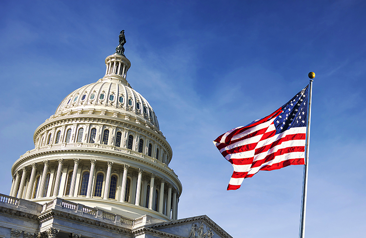 flag and capital building