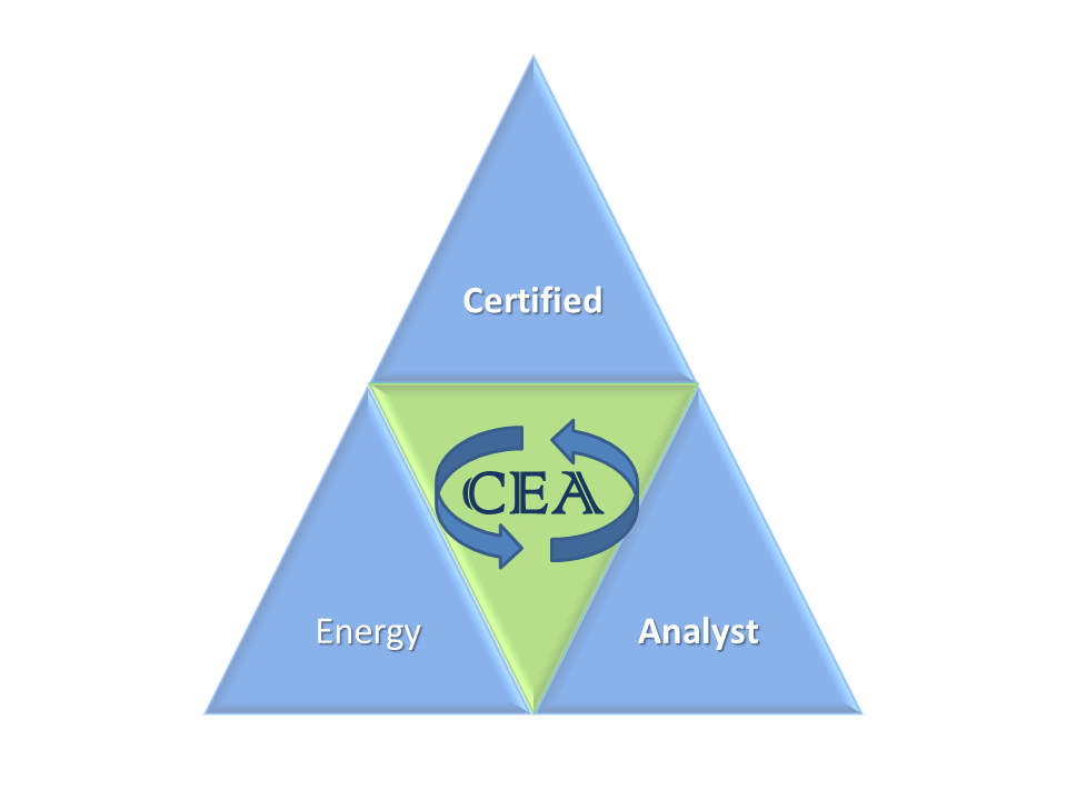 CEA - certified energy analyst logo