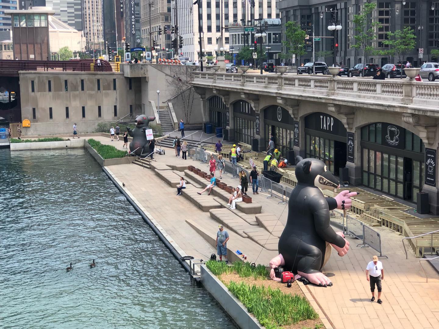 local 1 riverwalk picket