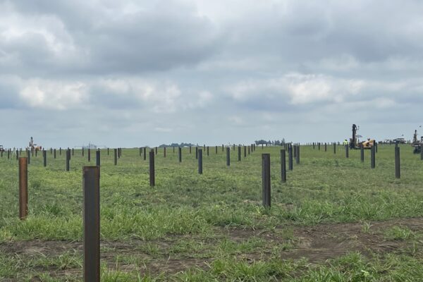 Image for Union Carpenters Working On Massive Illinois Solar Farm