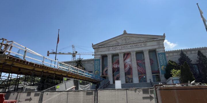 Image for Union Carpenters Restoring Chicago Aquarium