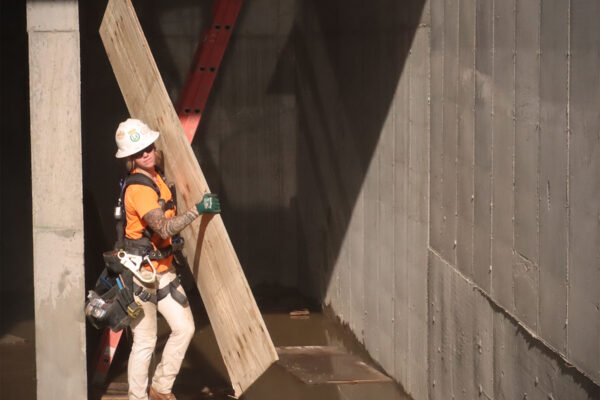 Image for Carpenters Making Improvements For Flood Prevention