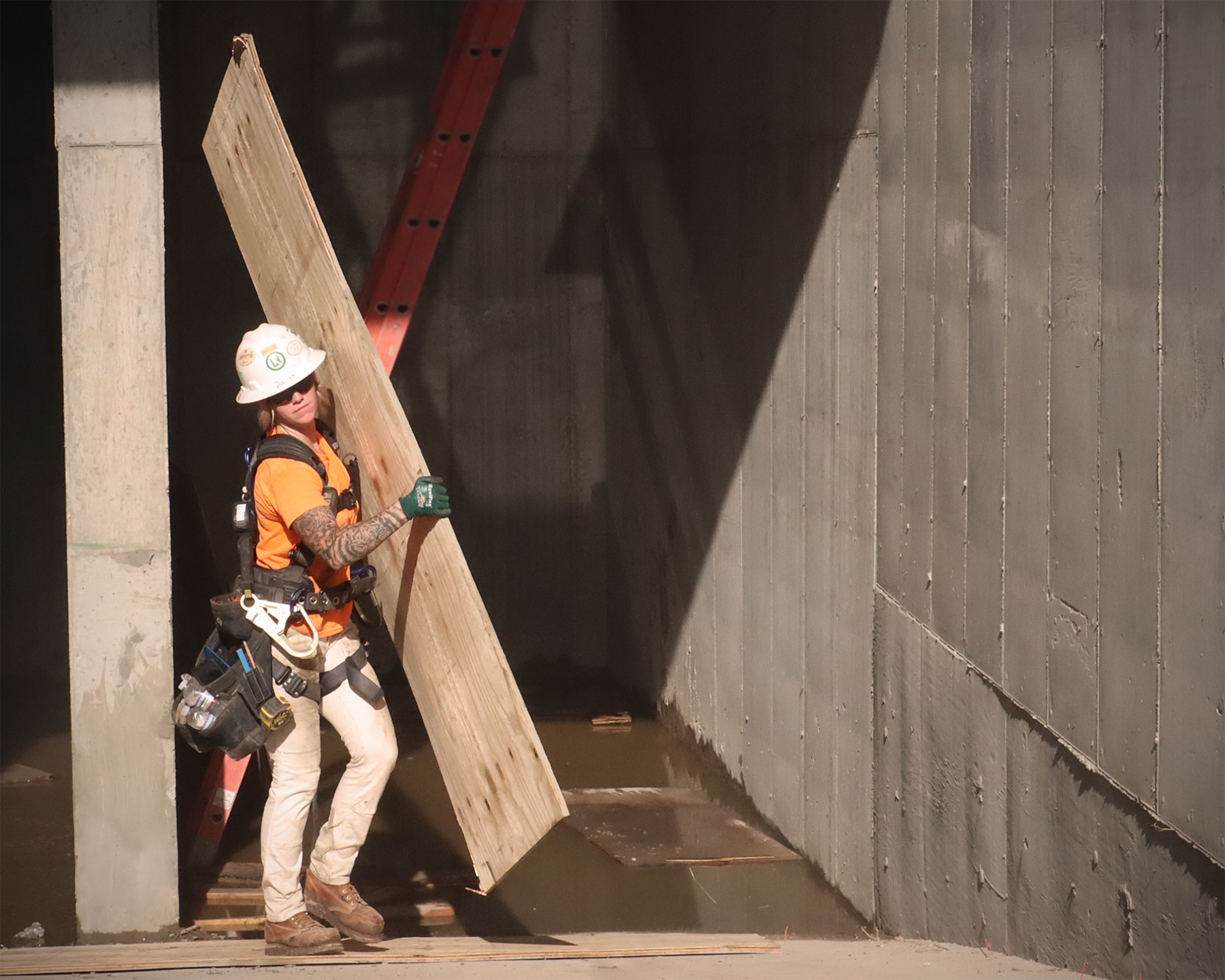 Image for Carpenters Making Improvements For Flood Prevention